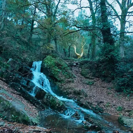 בית נופש Coeur De Broceliande